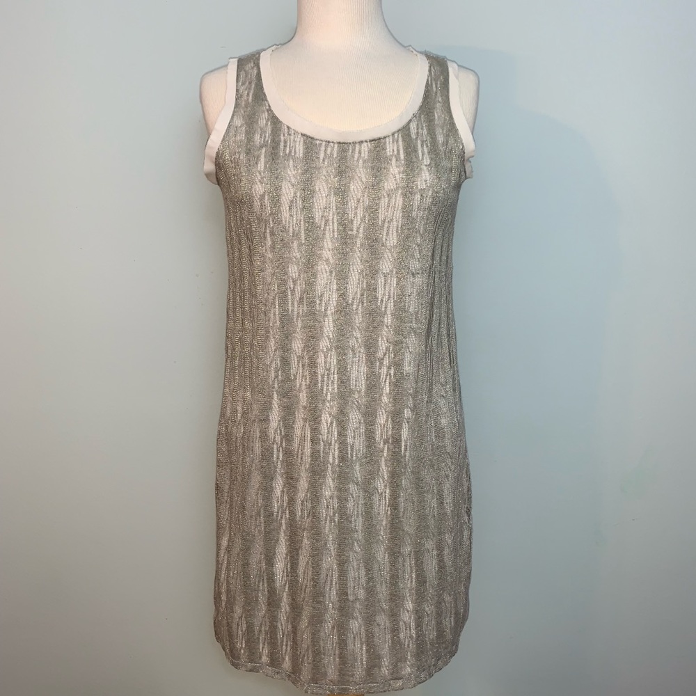 Metallic Daisy Fuentes dress